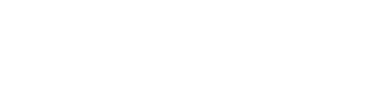 Rani Kone (Private) Limited